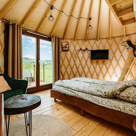 Jurty Za Winklem Ze Strefa *