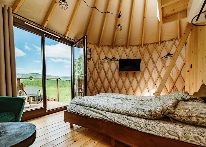 Jurty Za Winklem Ze Strefą